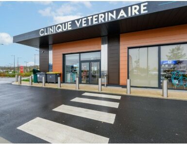 realisation clinique veterinaire