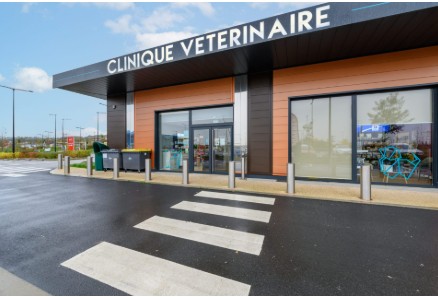 realisation clinique veterinaire
